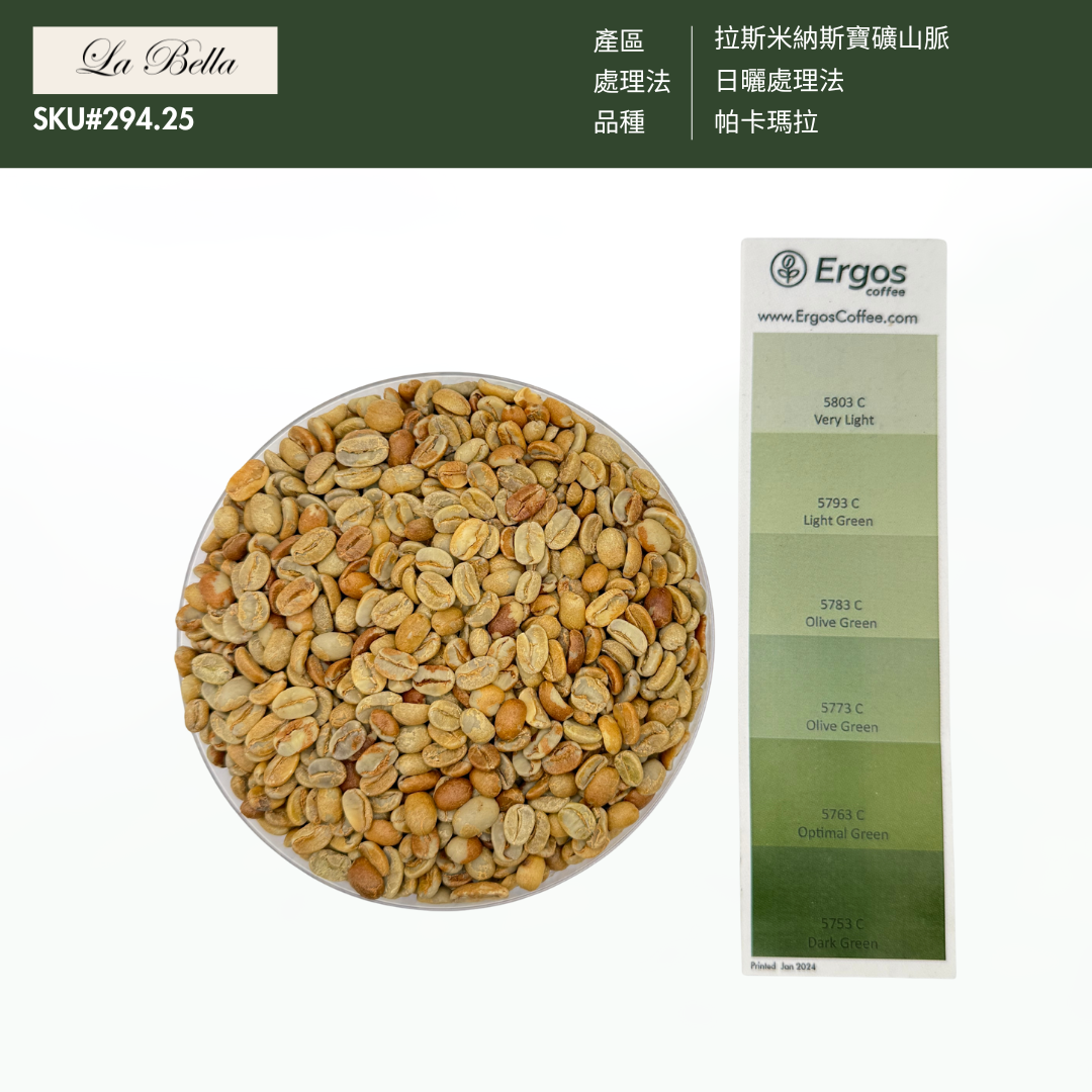 294.25 碧雅莊園 Finca La Bella・帕卡瑪拉・日曬處理法・拉斯米納斯寶礦山脈