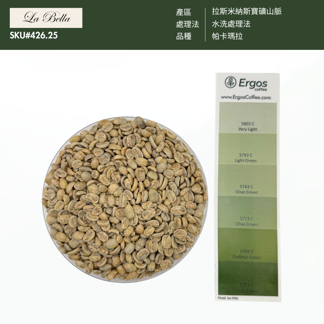 426.25 碧雅莊園 Finca La Bella・帕卡瑪拉・水洗處理法・拉斯米納斯寶礦山脈