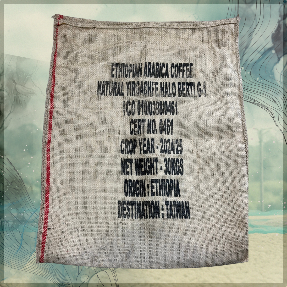 319 “哈囉哈囉”開賣!衣索比亞・耶加雪菲・哈洛貝利提處理廠 ・原生種 ・日曬・ G1