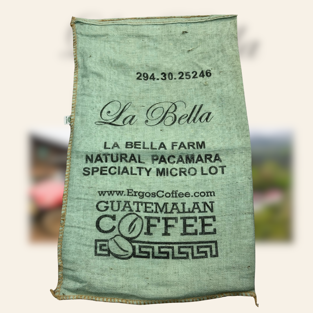 294.25 碧雅莊園 Finca La Bella・帕卡瑪拉・日曬處理法・拉斯米納斯寶礦山脈