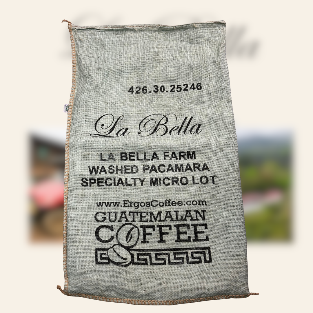 426.25 碧雅莊園 Finca La Bella・帕卡瑪拉・水洗處理法・拉斯米納斯寶礦山脈