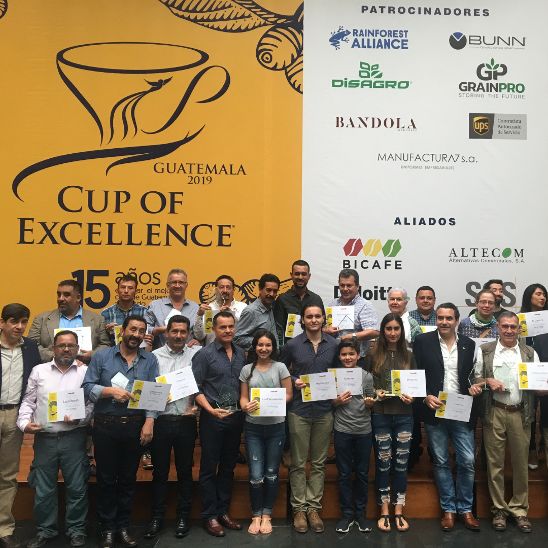 265.25 卡里布斯山莊園・藝伎・水洗處理法・拉斯米納斯寶礦山脈