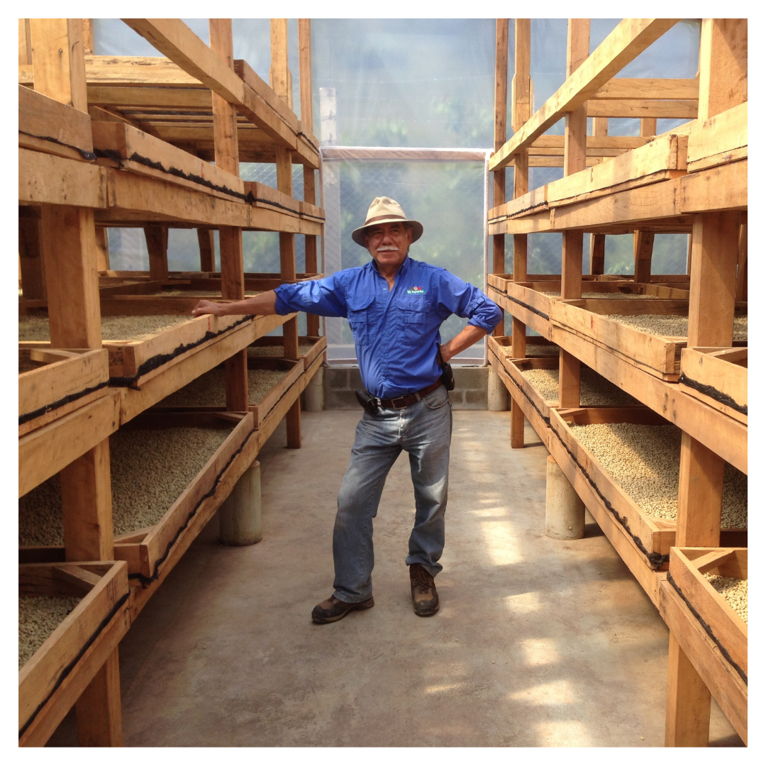 204.25 艾茵赫特莊園 El Injerto・波旁、卡杜拉、卡杜艾・水洗處理法・薇薇特南果