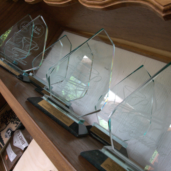 463.25 San Lorenzo Farm 綠山莊園 .卡杜拉、卡杜艾.水洗處理法.科班雨林