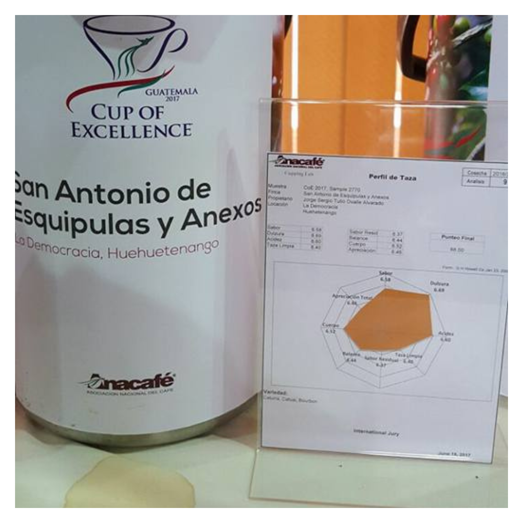 223 聖安東尼奧莊園 San Antonio Farm・波旁(Bourbon)・蜜處理・薇薇特南果