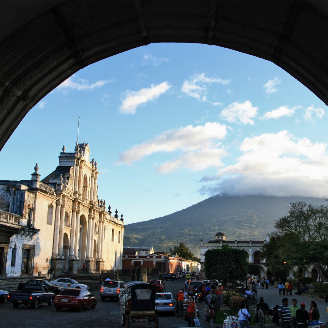 701B 瑪格麗特花神咖啡 Margarita Coffee.圓豆.水洗處理法.安提瓜