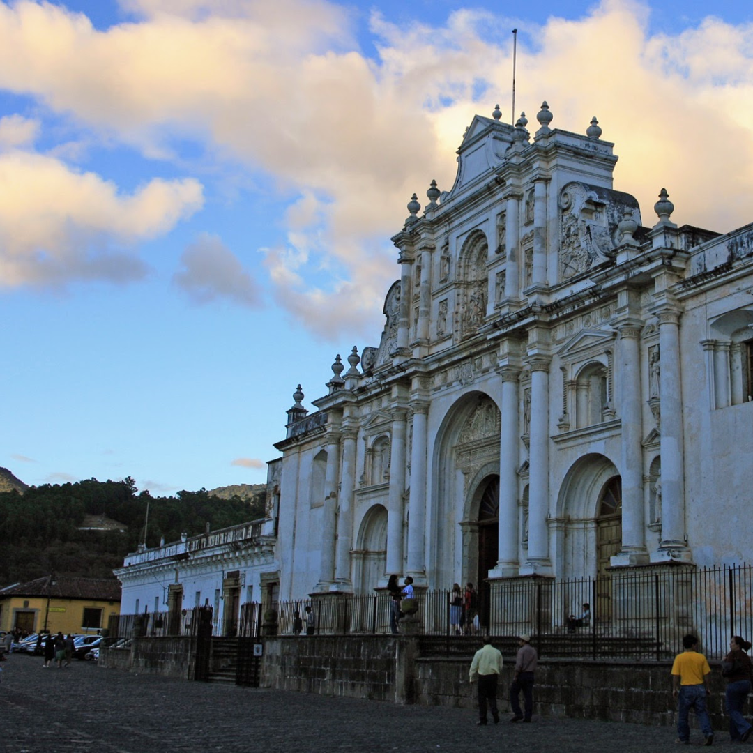 701B 瑪格麗特花神咖啡 Margarita Coffee.圓豆.水洗處理法.安提瓜