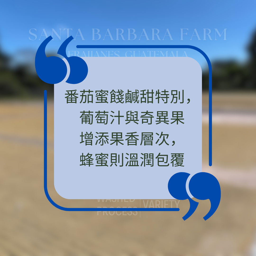 316.25 聖巴巴拉莊園Santa Barbara・帕卡瑪拉・水洗處理法・法漢尼斯