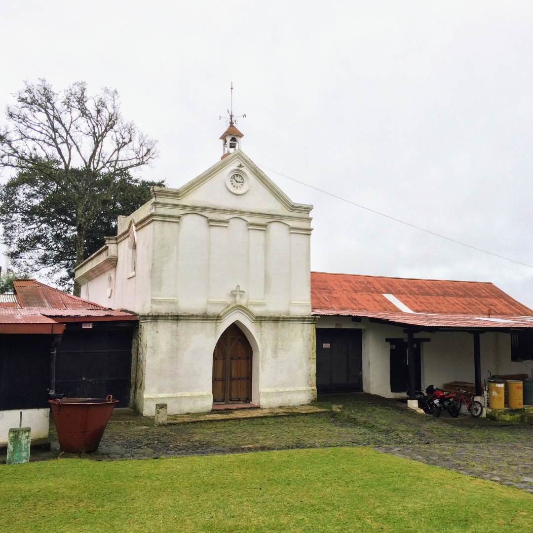 471.25卡佩提洛莊園 Capetillo Farm.帕卡瑪拉.日曬處理法.安提瓜(APCA)
