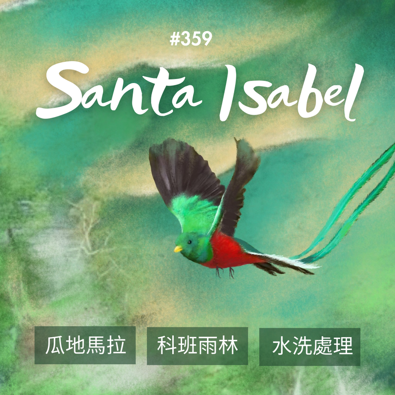 359 聖伊莎貝爾莊園 Finca Santa Isabel.卡杜拉、卡杜艾.水洗處理法.科班雨林