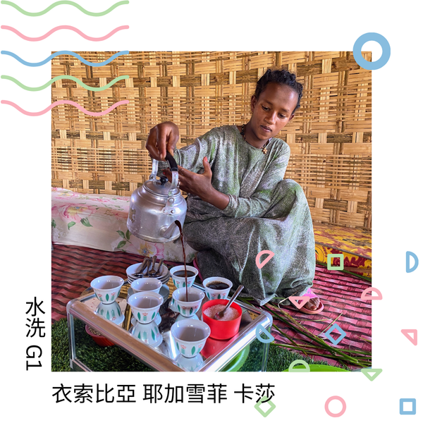 315 “貓男爵”熱賣中!衣索比亞・耶加雪菲・卡莎・水洗・G1