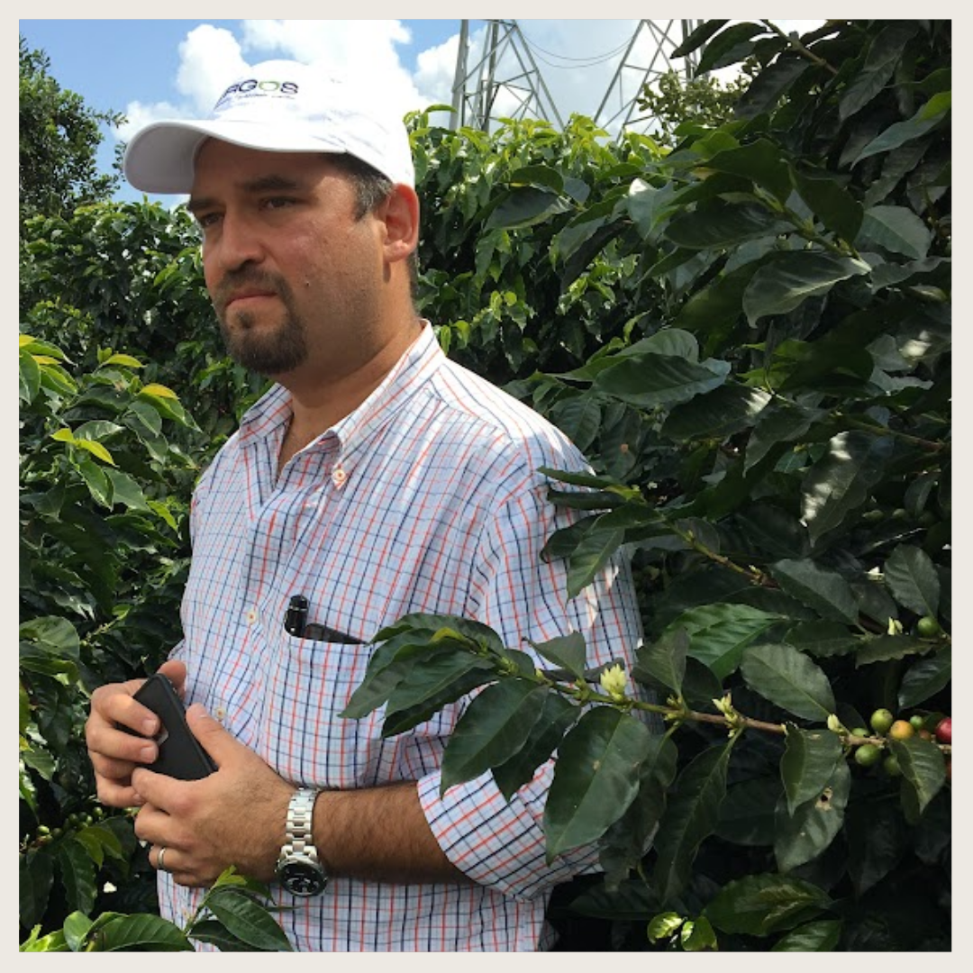 329.25 瓦爾瑪莊園 Finca Valmar.聖伊西卓.水洗處理法.科班雨林