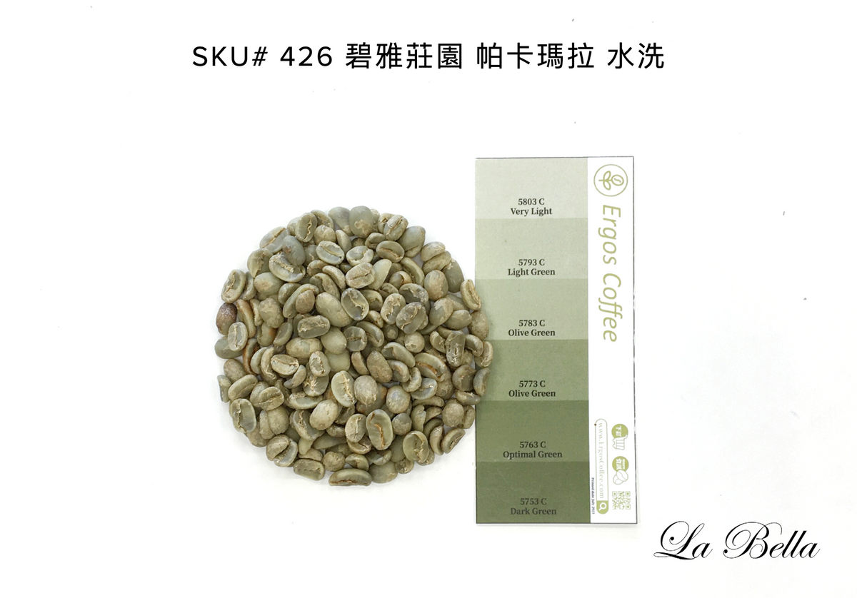 426 碧雅莊園 Finca La Bella・帕卡瑪拉・水洗處理法・拉斯米納斯寶礦山脈