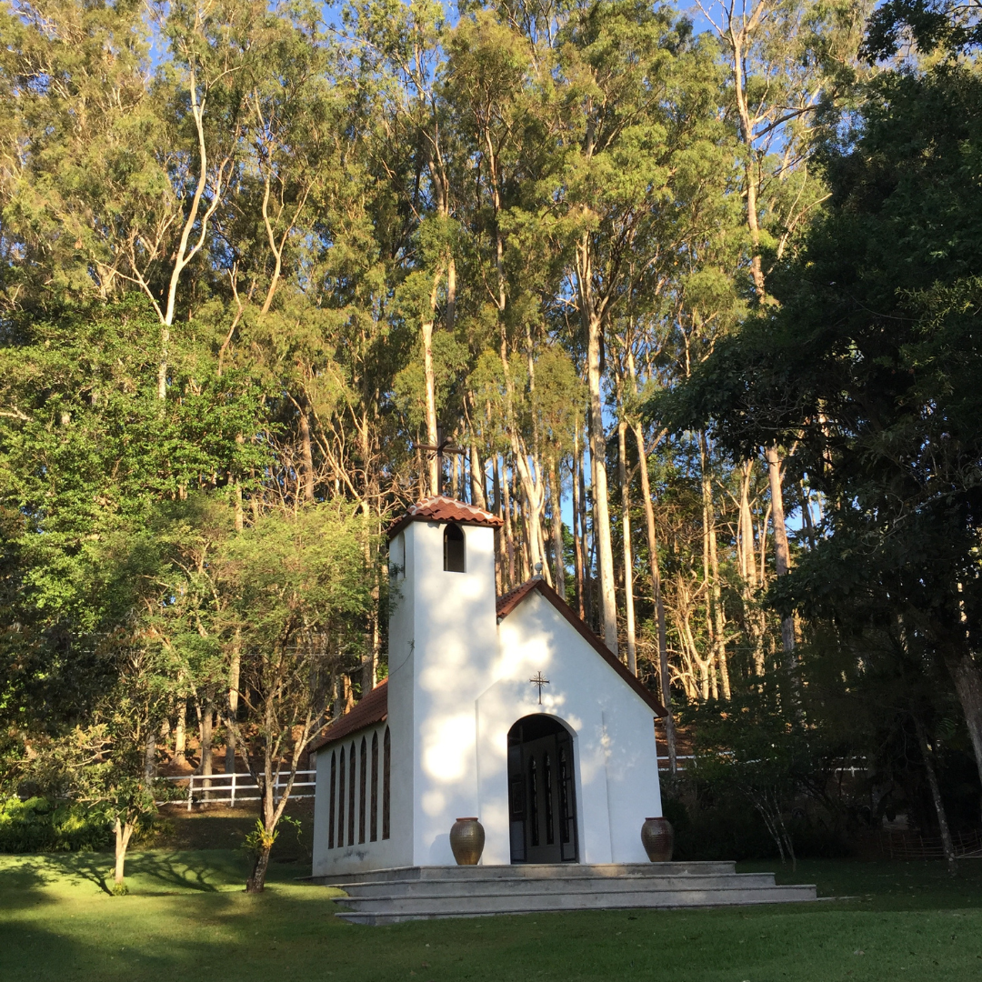 612.24 弩雲咖啡 Las Nubes coffee・卡杜拉、卡杜艾、鐵皮卡・水洗處理法・法漢尼斯 (瓜地馬拉商業豆)