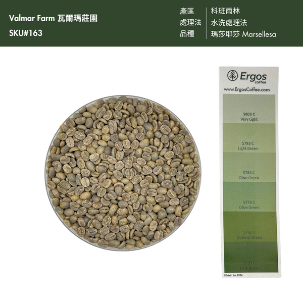 163 瓦爾瑪莊園 Valmar Farm - 科班雨林．瑪莎耶莎 Marsellesa． 水洗處理法 💧