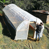 265.24 卡里布斯山莊園・藝伎・水洗處理法・拉斯米納斯寶礦山脈