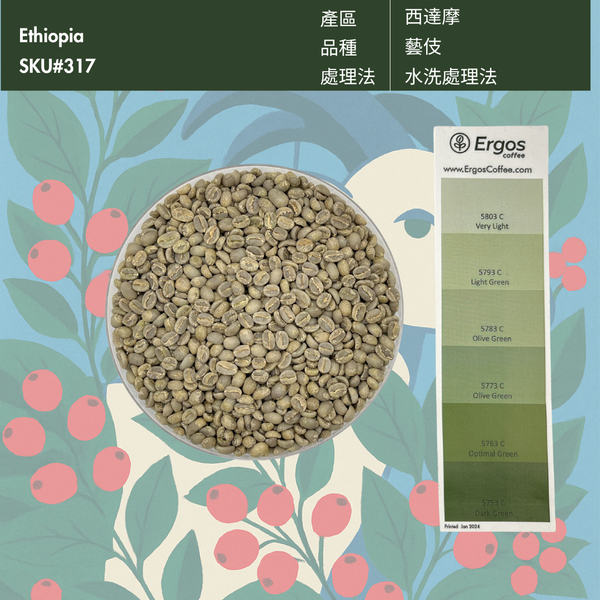 317 跳舞山羊 - 西阿希 南西寶 G1  - 西達摩 - 藝伎 - 水洗處理法