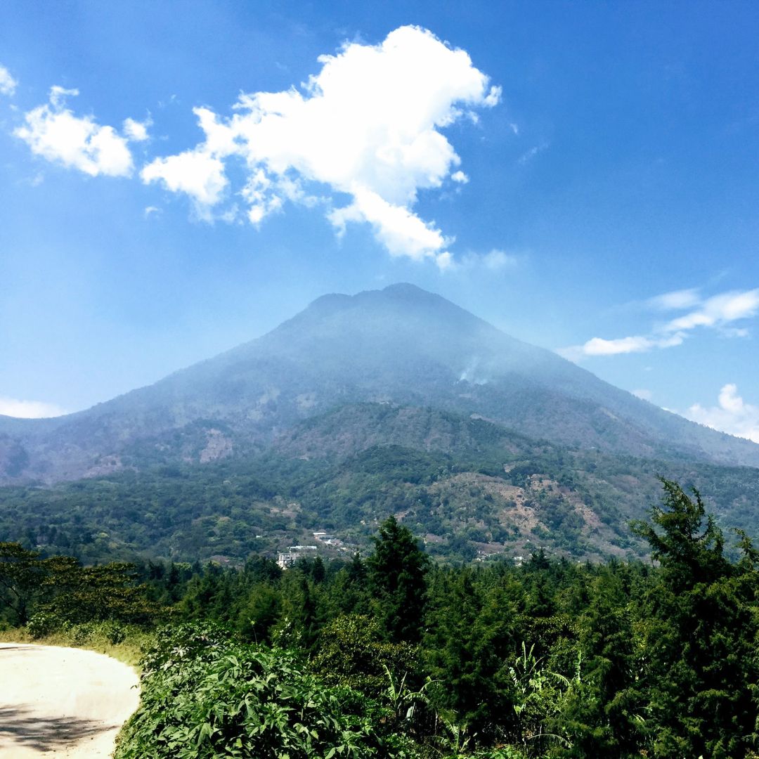 453.24 希洛羅咖啡 Cerro de Oro Coffee・卡杜拉、卡杜艾、鐵皮卡・水洗處理法・阿蒂特蘭湖 (瓜地馬拉商業豆）