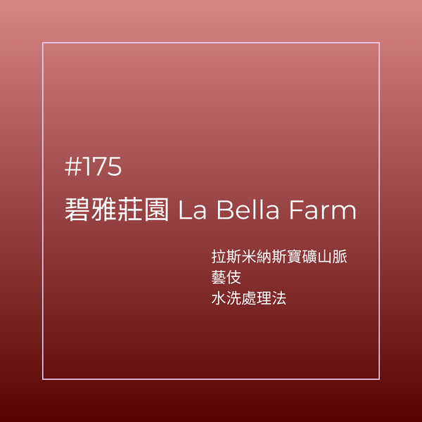175.25 碧雅莊園 Finca La Bella．藝伎．水洗處理法．拉斯米納斯寶礦山脈