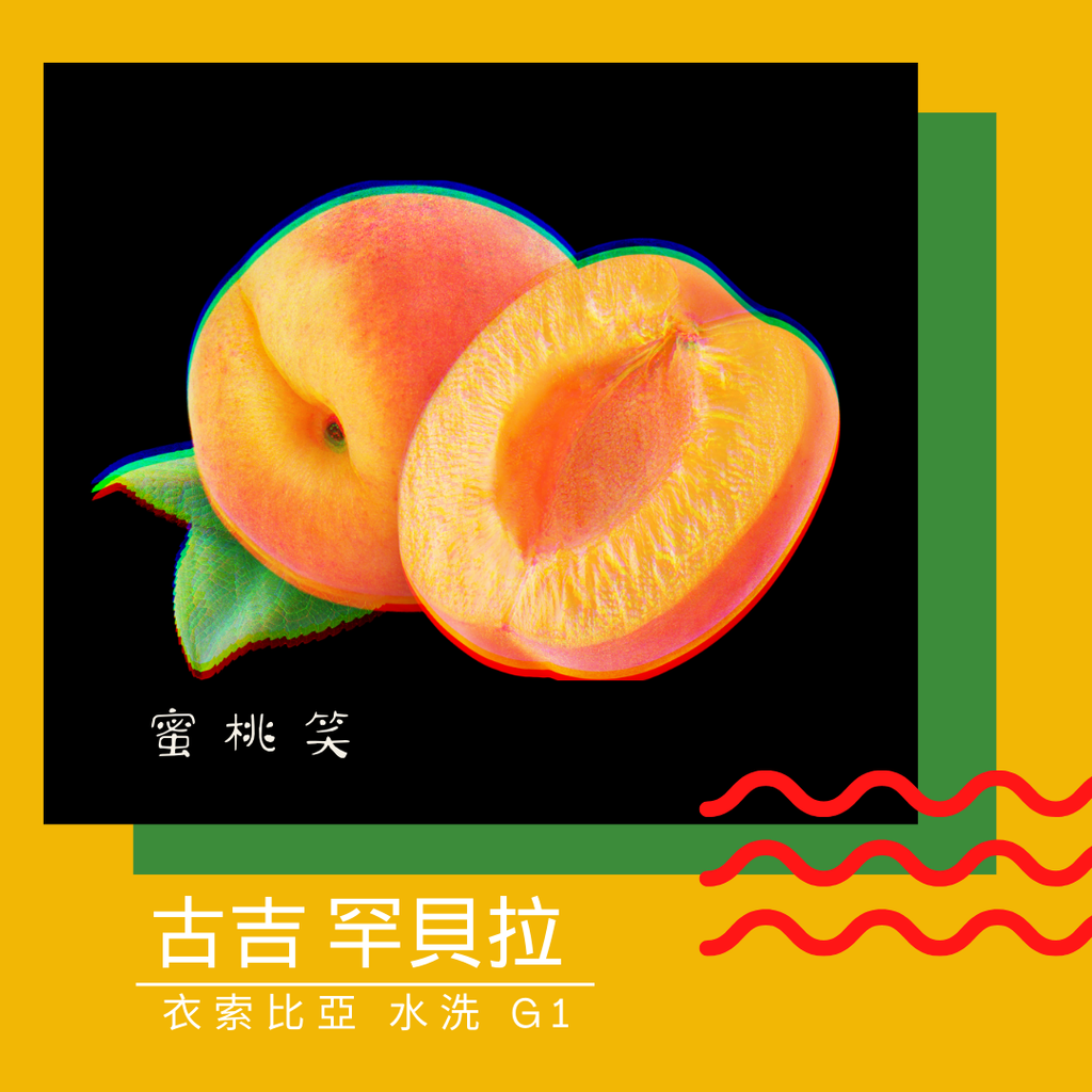 258.25 "蜜桃笑"熱賣中！衣索比亞・古吉・罕貝拉・水洗・G1