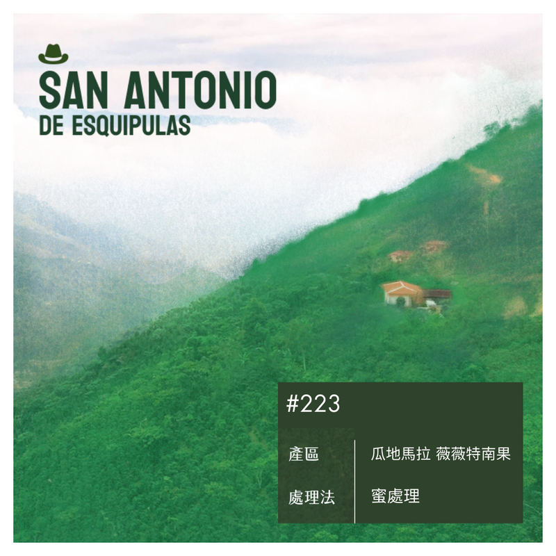 223 聖安東尼奧莊園 San Antonio Farm・波旁・蜜處理・薇薇特南果