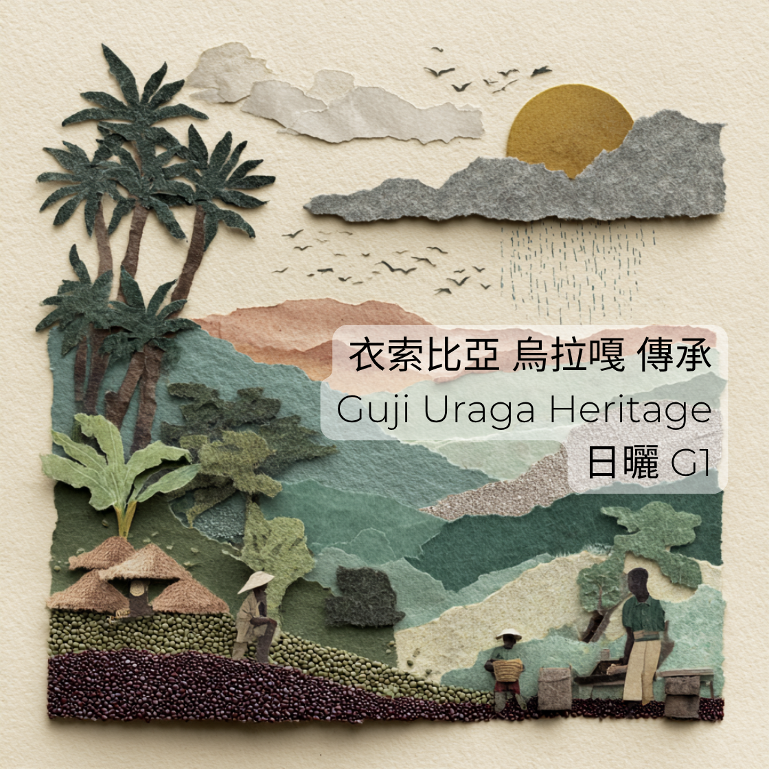 351 傳承－古吉 烏拉嘎 日曬 G1