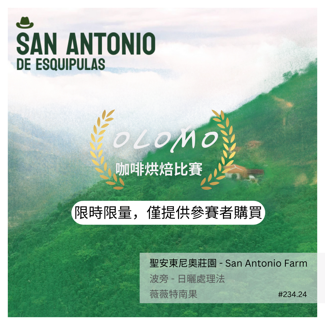 234.24 聖安東尼奧莊園 San Antonio Farm・波旁・日曬處理法・薇薇特南果 (OLOMO 咖啡烘焙比賽 限時限量，僅提供參賽者購買)