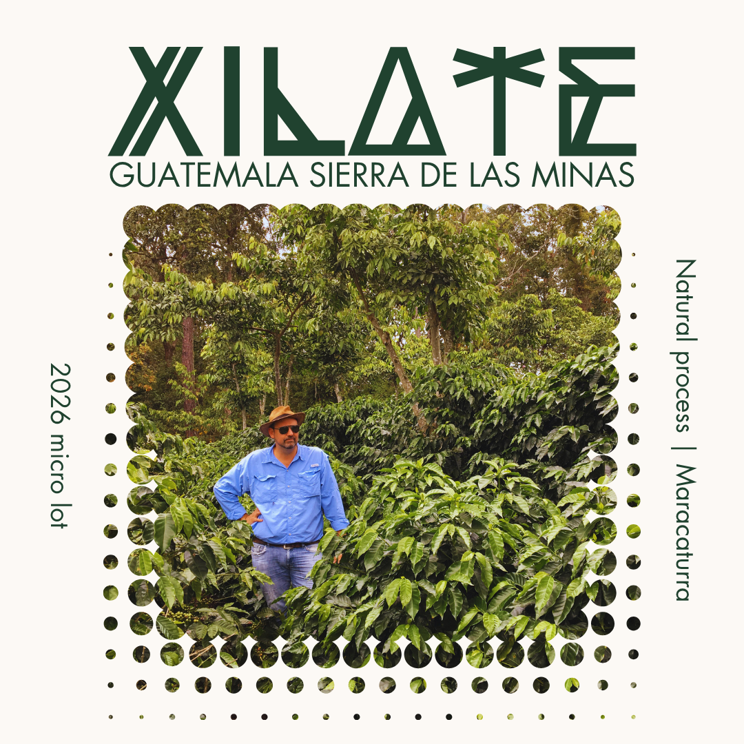 271 希雅莊園 Xilate Farm - 拉斯米納斯寶礦山脈． 馬拉卡杜拉．日曬處理法 ☀️