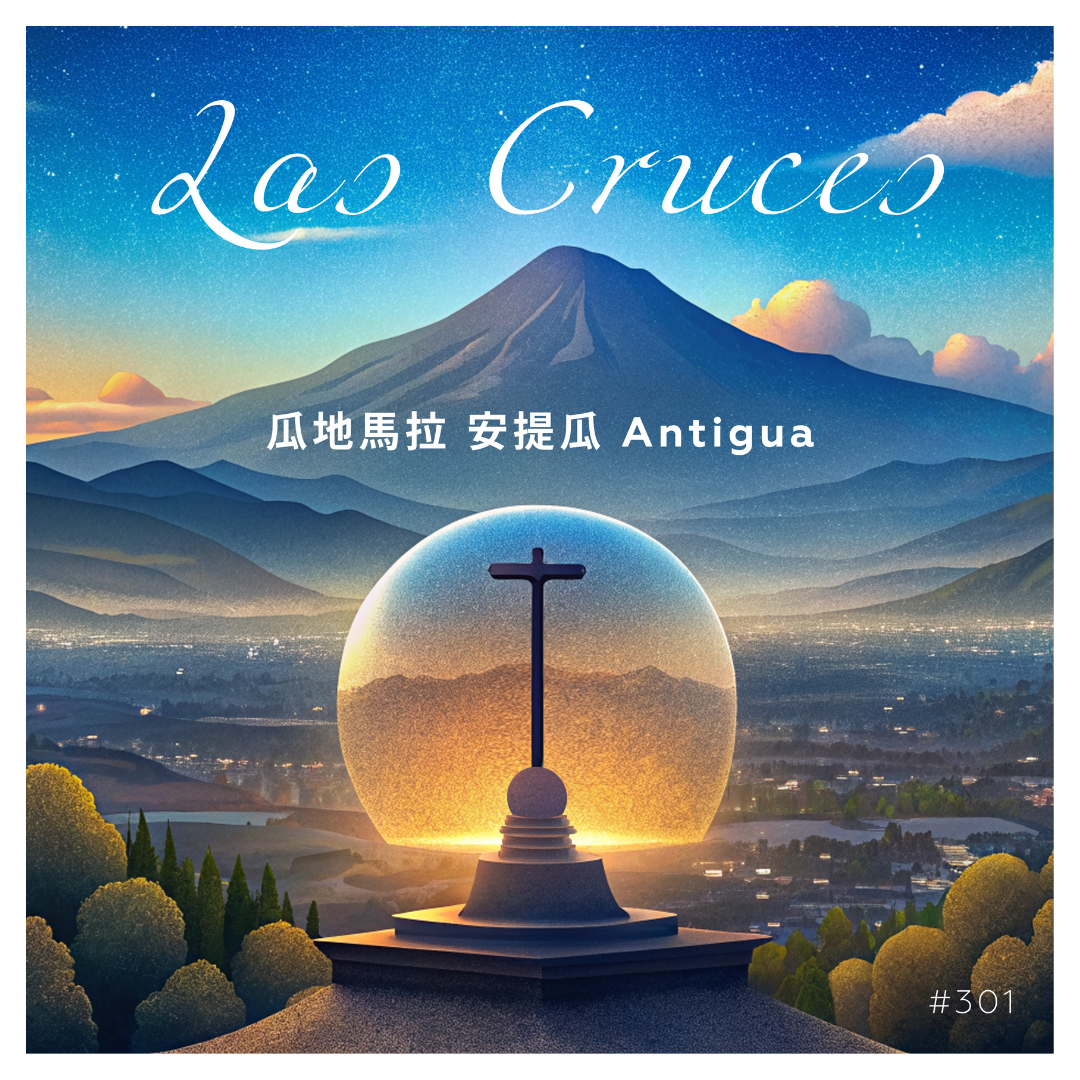 301安提瓜花神咖啡 Las Cruces・波旁、卡杜拉・水洗處理法・安提瓜