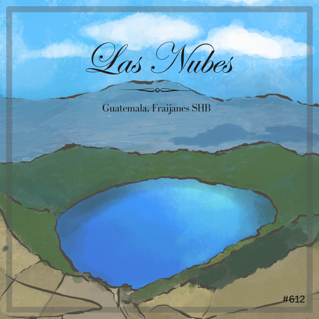 612 弩雲咖啡 Las Nubes Coffee - 法漢尼斯．．水洗處理法 💧