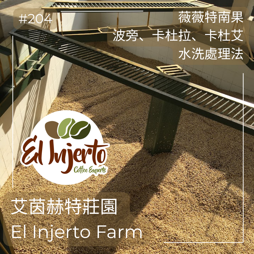 204.25 艾茵赫特莊園 El Injerto・波旁、卡杜拉、卡杜艾・水洗處理法・薇薇特南果