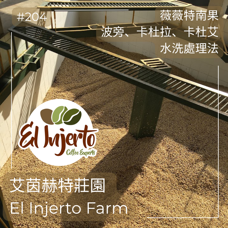 204.25 艾茵赫特莊園 El Injerto・波旁、卡杜拉、卡杜艾・水洗處理法・薇薇特南果