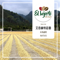 204 艾茵赫特莊園 El Injerto・波旁、卡杜拉、卡杜艾・水洗處理法・薇薇特南果