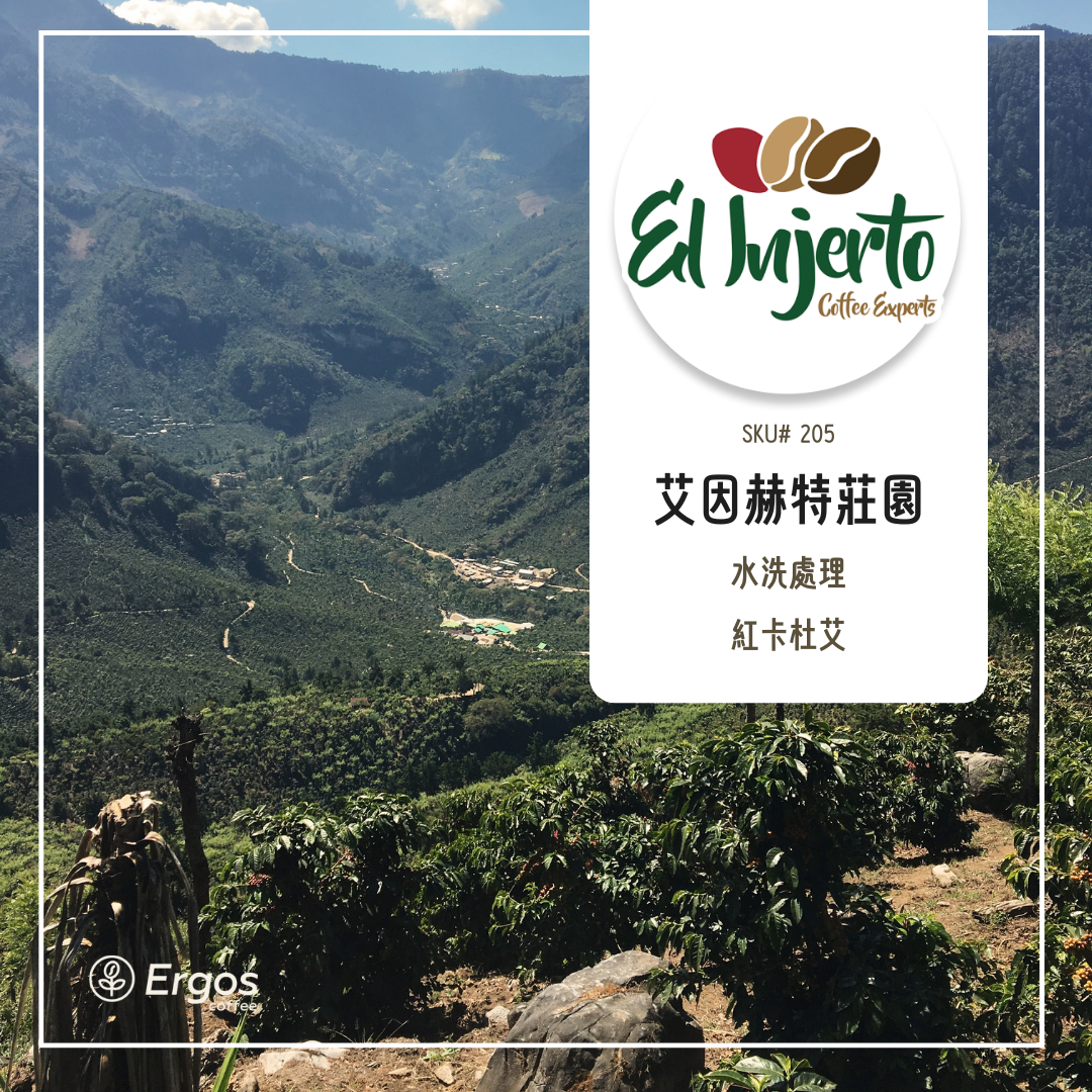 205 艾茵赫特莊園 El Injerto・紅卡杜艾・水洗處理法・薇薇特南果