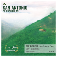 234.24 聖安東尼奧莊園 San Antonio Farm・波旁・日曬處理法・薇薇特南果 (2024 OLOMO 咖啡烘焙比賽)