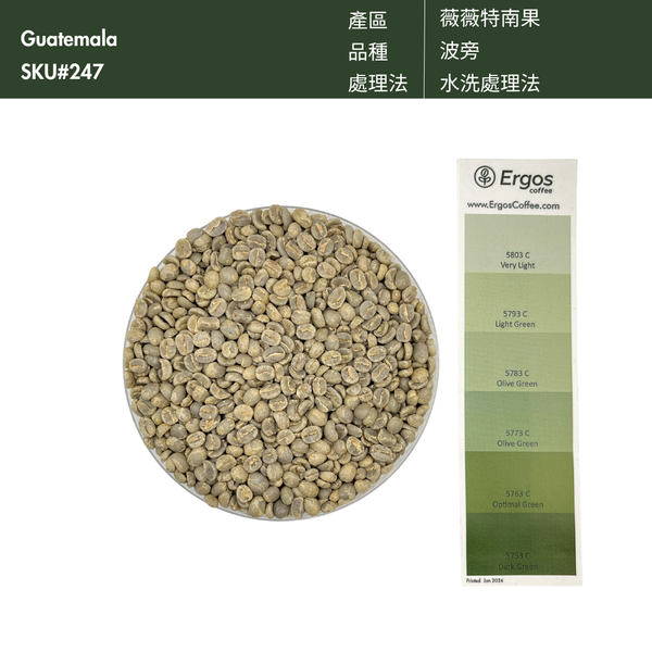 247 艾茵赫特莊園 El Injerto Farm - 薇薇特南果・波旁・水洗處理法