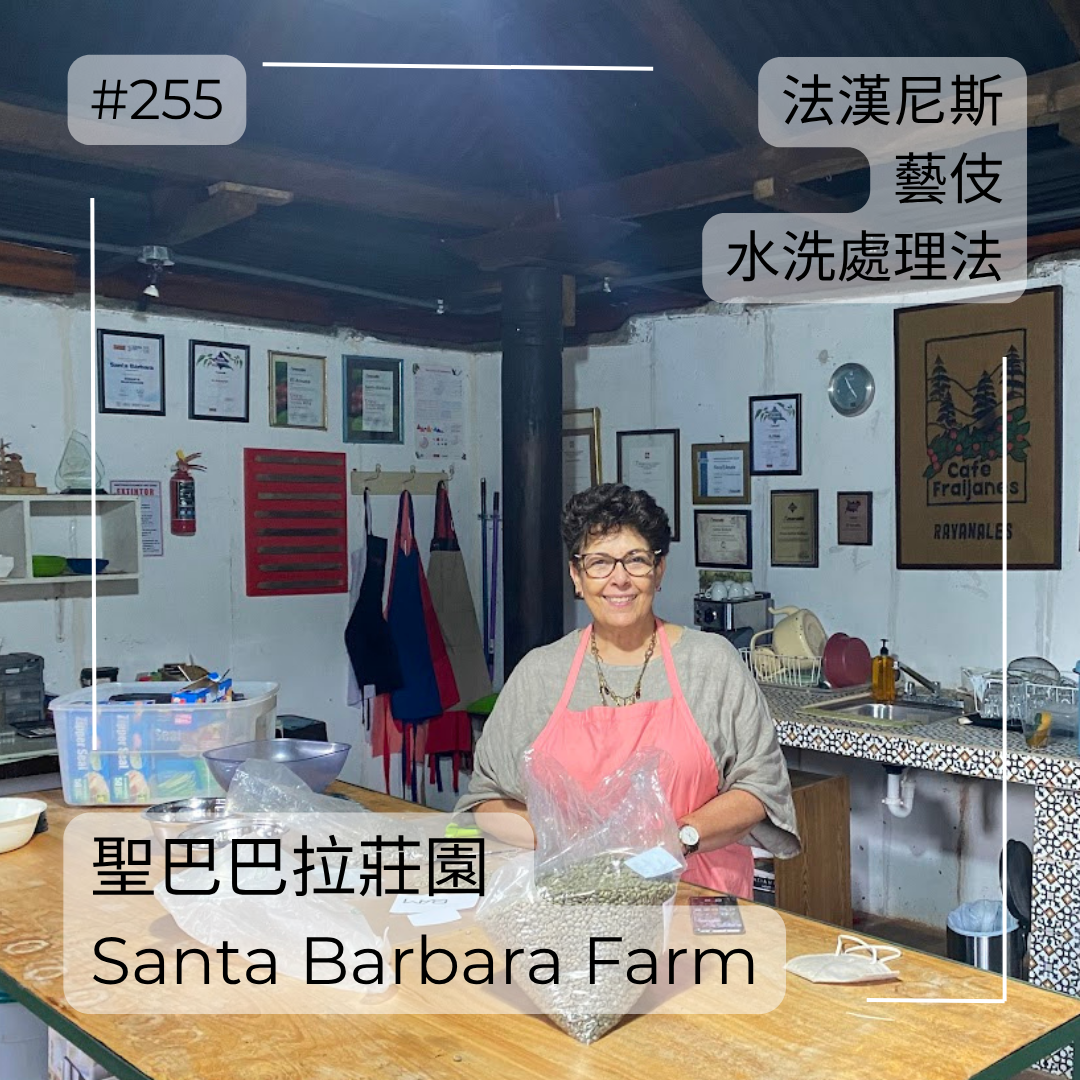 255.25 聖巴巴拉莊園Santa Barbara・藝伎・水洗處理法・法漢尼斯