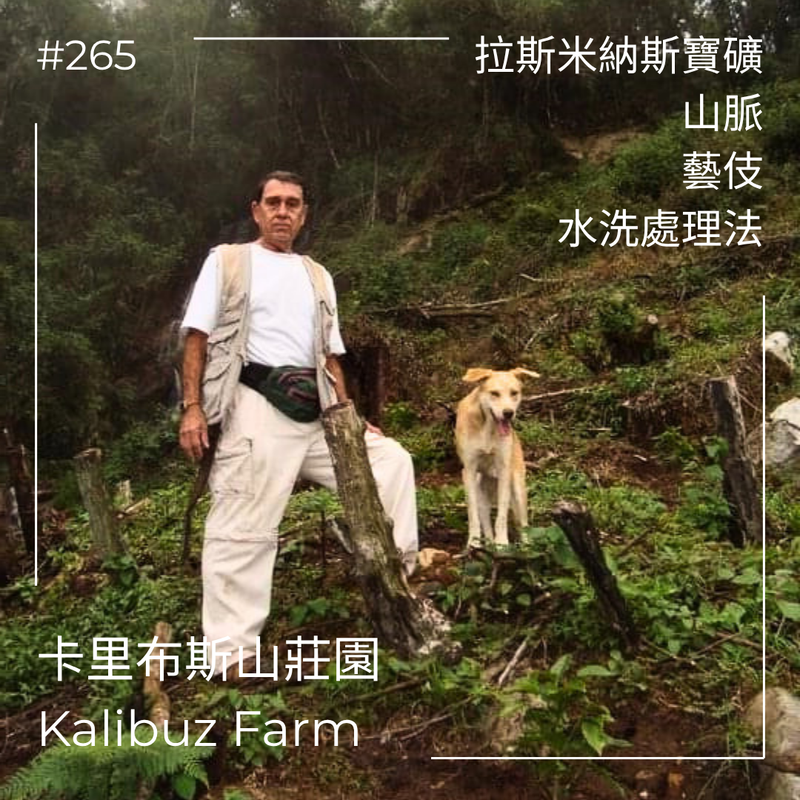 卡里布斯山莊園 Kalibuz - 拉斯米納斯寶礦山脈 - 藝伎 - 水洗處理法 - OIC# 11/43886/7