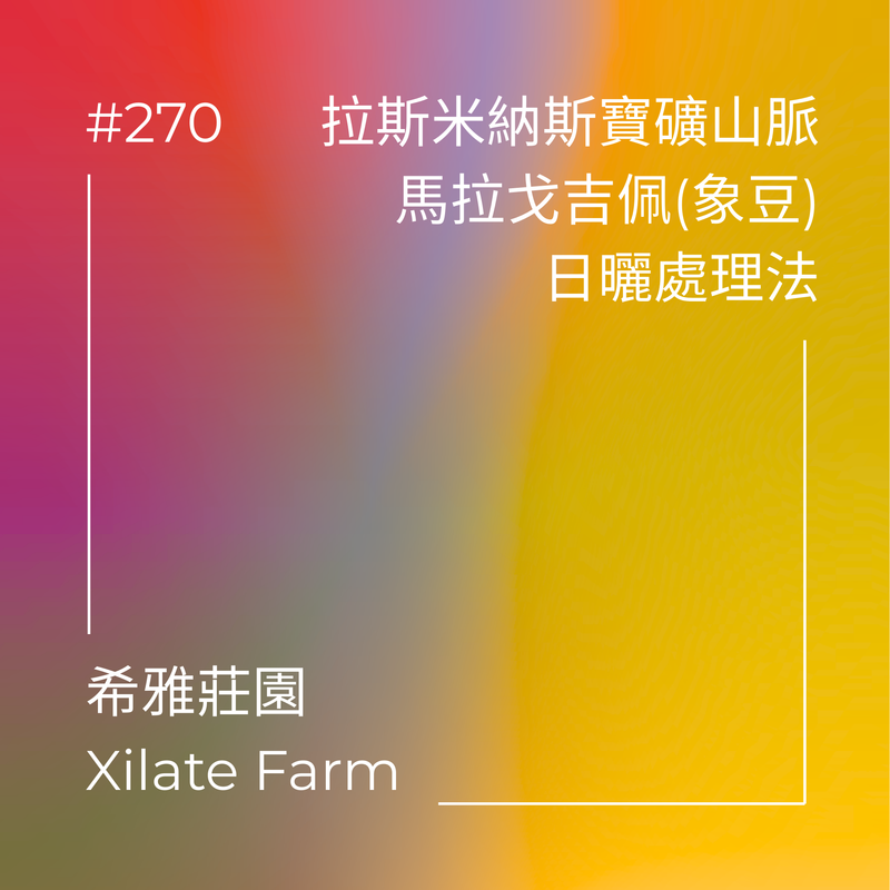 270.25 希雅莊園Xilate Farm．象豆．日曬處理法．拉斯米納斯寶礦山脈