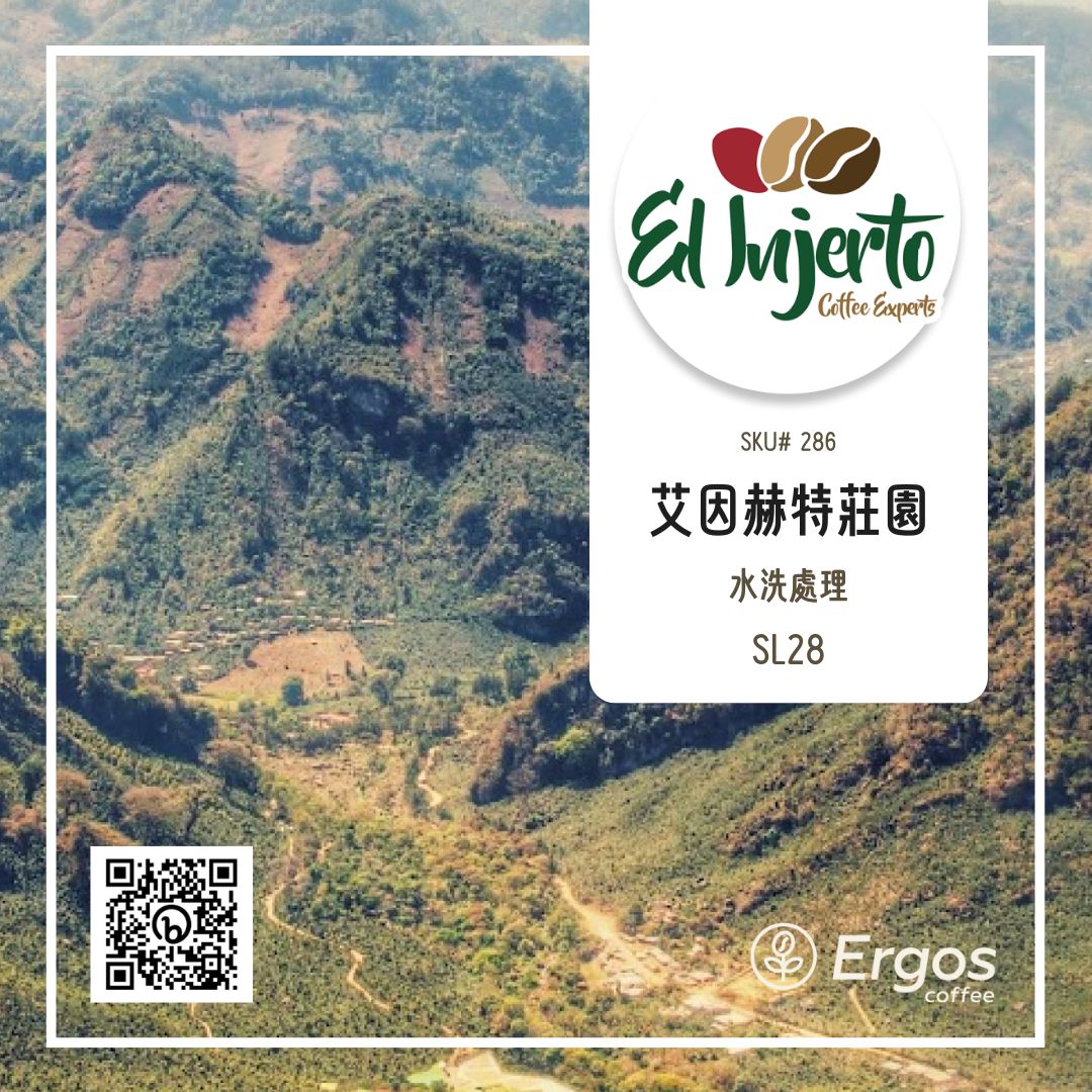 286 艾茵赫特莊園 El Injerto・SL28・水洗處理法・瓜地馬拉 薇薇特南果