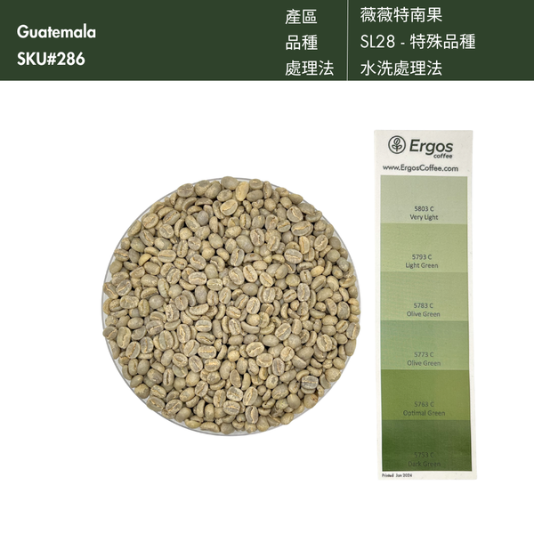 286 艾茵赫特莊園 El Injerto Farm - 薇薇特南果・SL28・水洗處理法
