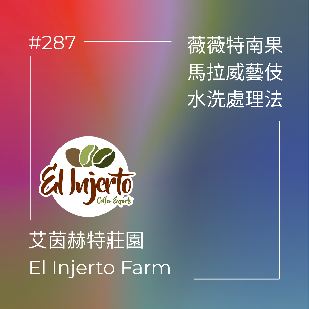 287.25 艾茵赫特莊園 El Injerto・藝伎 (馬拉威)・水洗處理法・瓜地馬拉薇薇特南果