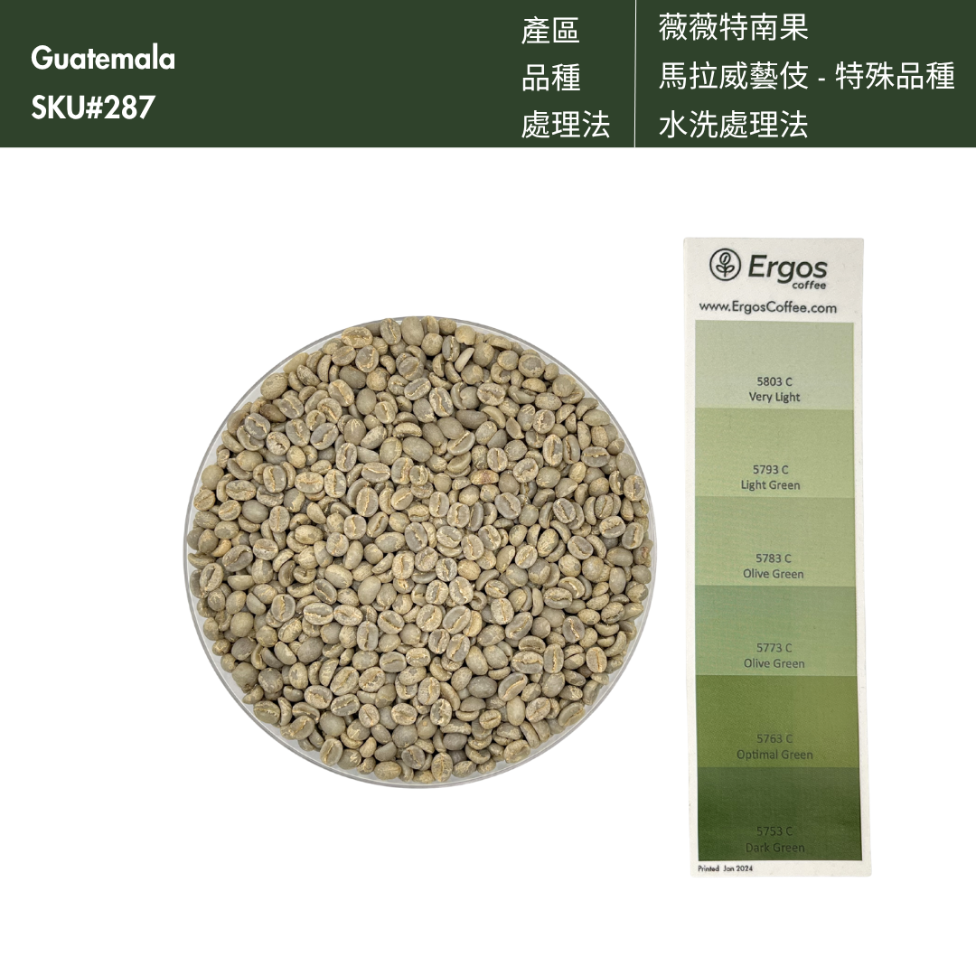 287 艾茵赫特莊園 El Injerto Farm - 薇薇特南果・馬拉威藝伎・水洗處理法