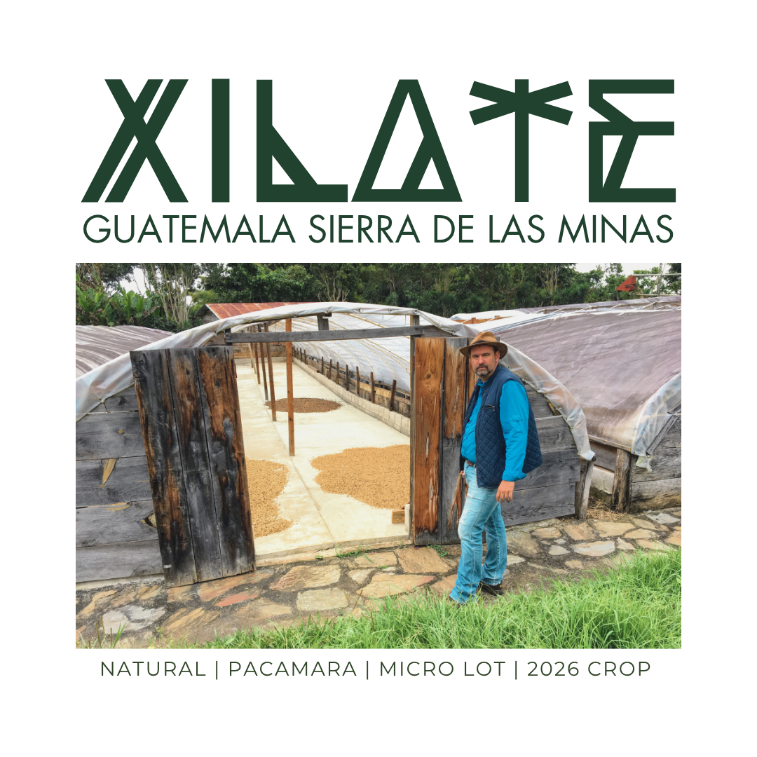 294 希雅莊園 Xilate Farm - 拉斯米納斯寶礦山脈．帕卡瑪拉．日曬處理法 ☀️
