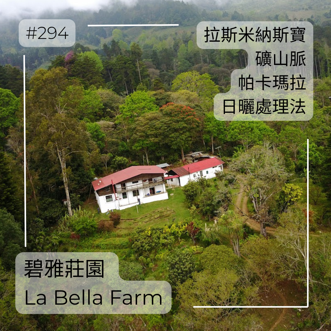 294.25 碧雅莊園 Finca La Bella・帕卡瑪拉・日曬處理法・拉斯米納斯寶礦山脈