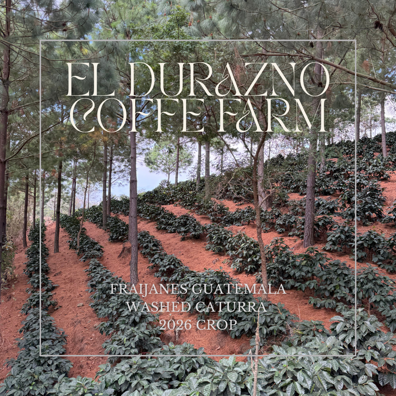 295 桃太郎莊園 Durazno Farm - 法漢尼斯．卡杜拉．水洗處理法