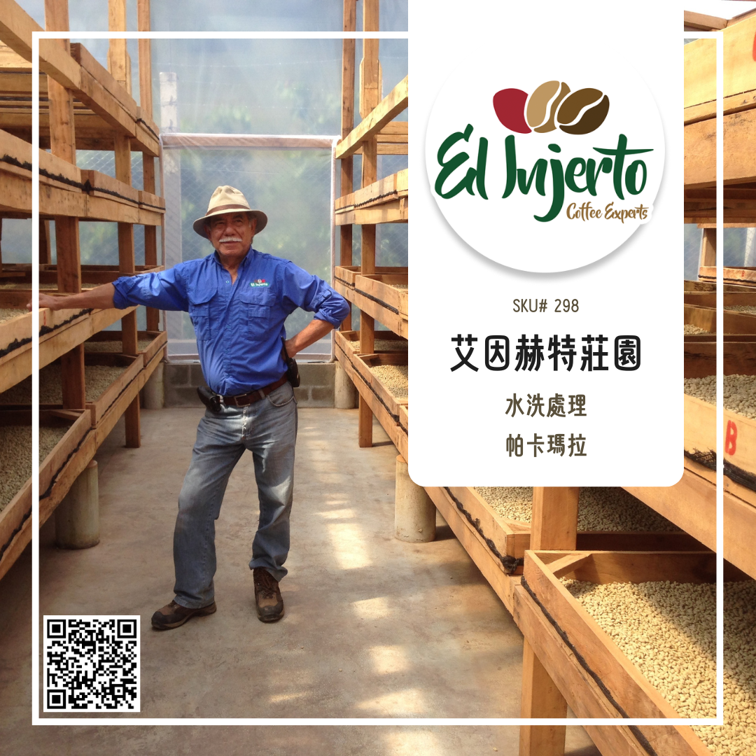 298 艾茵赫特莊園 El Injerto・帕卡瑪拉・水洗處理法・薇薇特南果