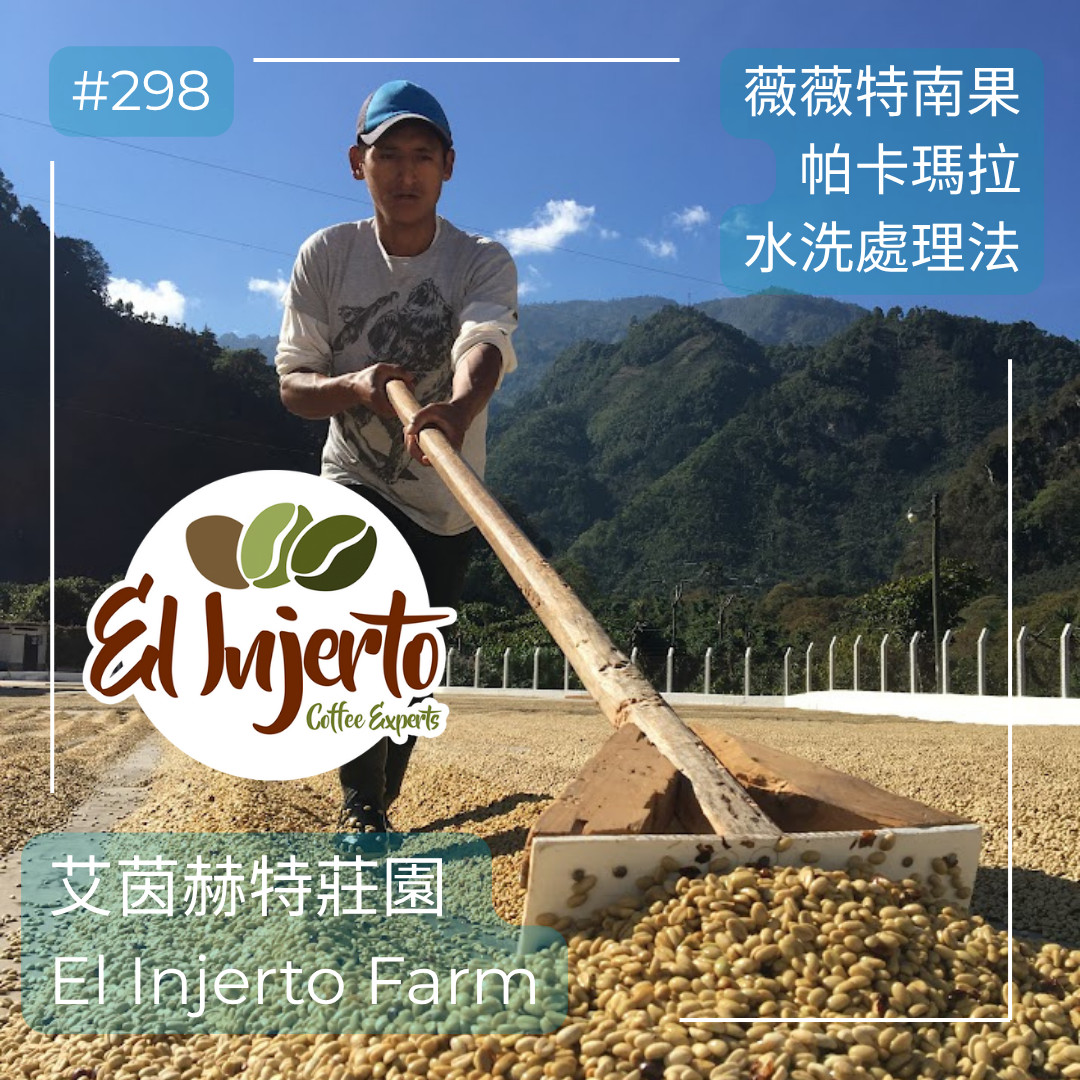 298.25 艾茵赫特莊園 El Injerto・帕卡瑪拉・水洗處理法・薇薇特南果