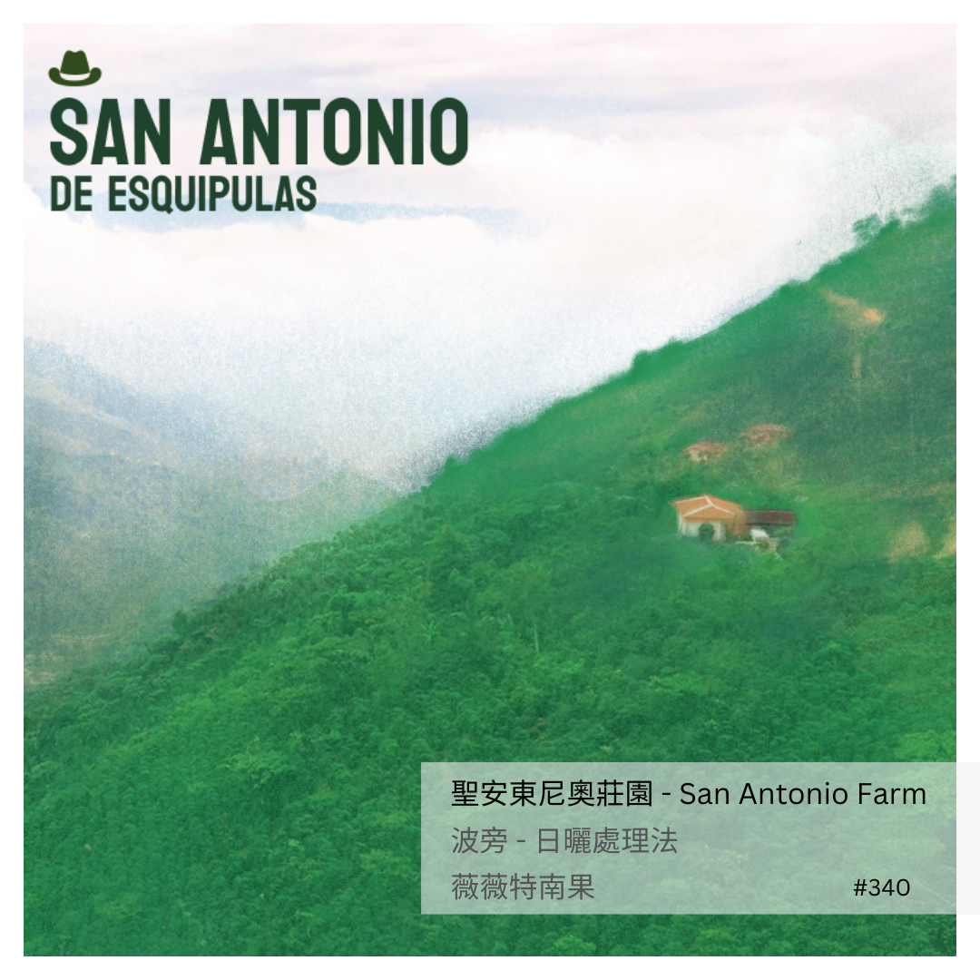 340 聖安東尼奧莊園 San Antonio Farm・波旁・日曬處理法・薇薇特南果