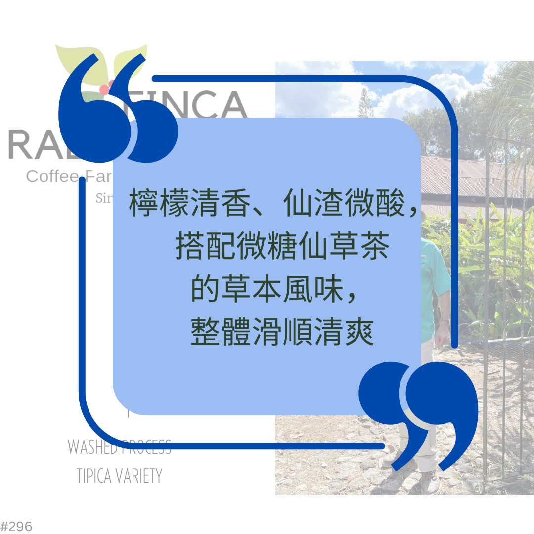 632.25 哈瓦那莊園 Rabanales Farm．新世界．水洗處理法．法漢尼斯
